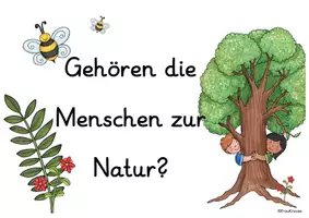 Vorschau - Aufgabenkarten - Philosophieren zu Nachhaltigkeitsfragen BNE Impulskarten - Seite 3