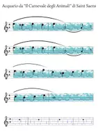anteprima - Esercizi - Acquario Saint Saens Margareth Coda - Pagina 1
