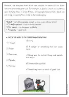 Vorschau - Arbeitsblätter - Halloween Englisch: Leseverstehen & Grammatik Relative Clauses – Black Cats (Klasse 7/8) - Seite 2