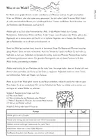 Vorschau - Arbeitsblätter - Wald im Sachunterricht, Arbeitsblätter, Merkblätter, Texte, Rätsel - Seite 1
