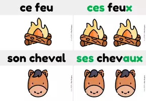 Aperçu - Fiches - Les règles du PLURIEL des noms - Page 3