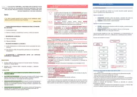 Vista previa - Para docentes: organización, planificación y formación - Oposiciones PT Andalucía: Esquema tema 7 - página 1