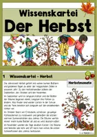 Vorschau - Stationenlernen - Sparpaket - Wissenskarteien zu den Jahreszeiten - Seite 2