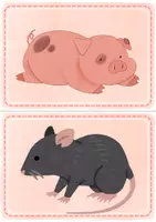 Vorschau - Arbeitsblätter - Animals Klasse 1/3 / BILDKARTEN / ARBEITSBLATT / AKTIVITÄT "I have..." - Seite 2