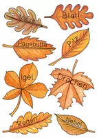 Vorschau - Spiele - Herbstblätter: Silben, ABC, Artikel, Nomen - Seite 3