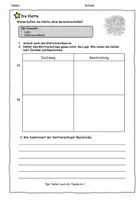 Vorschau - Arbeitsblätter - Von der Klette zum Klettverschluss - Seite 2