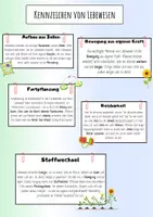Vorschau - Arbeitsblätter - Materialpaket:Kennzeichen von Lebewesen-Infokarten+AB+Diff. - Deckblatt