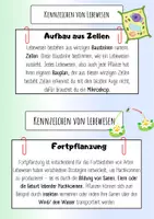 Vorschau - Arbeitsblätter - Materialpaket:Kennzeichen von Lebewesen-Infokarten+AB+Diff. - Seite 1