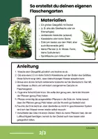 Vorschau - Arbeitsblätter - Anleitung Flaschengarten Projektarbeit Ökologie - Seite 2