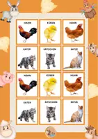 Vorschau - Stundenentwürfe - Großes Tier-Lernpaket | Haustiere, Wildtiere, Vögel & Meerestiere - Seite 3