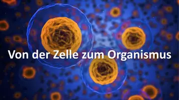 Vorschau - Unterrichtsreihen - Unterrichtsvorhaben - Die Zelle als universeller Grundbaustein des Lebens - Seite 3