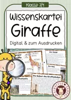 Vorschau - Stundenentwürfe - Giraffenklasse - großes Materialpaket - Seite 1
