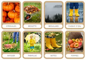 Aperçu - Cartes / Images - Imagier d’automne 🍂🍁📸 - Page 1