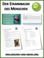 Vorschau - Arbeitsblätter - Der Stammbaum des Menschen - Lückentext und Übungen - Deckblatt