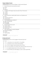 Vorschau - Arbeitsblätter - Leonardo da Vinci - Infotext und Übungen - Seite 2