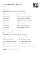 Vorschau - Arbeitsblätter - Der Stammbaum des Menschen - Lückentext und Übungen - Seite 3
