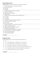 Vorschau - Stundenentwürfe - Großes Geschichte-Paket - Seite 3