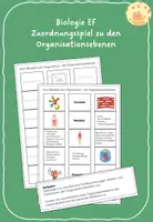 Vorschau - Spiele - Zuordnungsspiel zu den Organisationsebenen (Zellbiologie) - Deckblatt