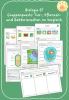 Vorschau - Stationenlernen - Gruppenpuzzle: Tier-, Pflanzen- und Bakterienzellen im Vergleich - Deckblatt