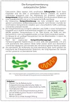 Vorschau - Arbeitsblätter - Arbeitsblatt: Die Kompartimenierung eukaryotischer Zellen - Seite 2