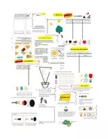 Aperçu - Expériences - FrenchsoundandlightpropertiesLesPropritsdelalumireetduson-1 (1) - Page 1