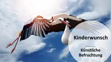 Vorschau - Arbeitsblätter - Kinderwunsch, Künstliche Befruchtung - Seite 2