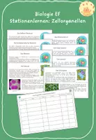 Vorschau - Stationenlernen - Stationenlernen: Zellorganellen - Deckblatt