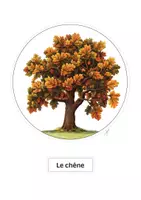 Aperçu - Feuilles d'exercices - Atelier d‘automne | 6 arbres à bricoler et à poser - Page 2