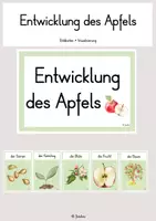Vorschau - Arbeitsblätter - Entwicklung des Apfels - Deckblatt