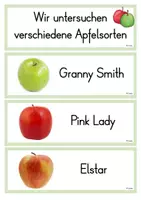 Vorschau - Arbeitsblätter - Verschiedene Apfelsorten - Seite 3