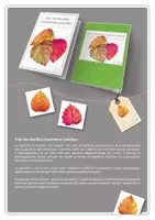Aperçu - Apprentissages en autonomie - Dossier d'exercices | Trier les feuilles d'automne colorées | Level 1 + 2 - Page 1