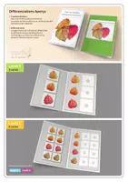 Aperçu - Apprentissages en autonomie - Dossier d'exercices | Trier les feuilles d'automne colorées | Level 1 + 2 - Page 2