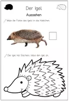 Vorschau - Arbeitsblätter - Igel - Miniheft - 5 Arbeitsblätter + Deckblatt - Seite 3