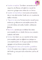 Vista previa - Unidades / Secuencias / Situaciones de Aprendizaje - Signos de puntuación y Ortografía - página 2