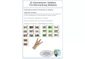 Vorschau - Fördermaterial/Inklusion - 20 Klammerkarten Waldtiere - foto und clipart - Bildlesen - Deckblatt