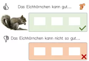 Vorschau - Fördermaterial/Inklusion - Klettmappe - Was kann das Eichhörnchen - Seite 1