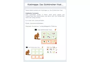 Vorschau - Fördermaterial/Inklusion - Klettmappe - Was frisst das Eichhörnchen? Waldtiere - Deckblatt