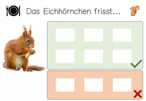 Vorschau - Fördermaterial/Inklusion - Klettmappe - Was frisst das Eichhörnchen? Waldtiere - Seite 1