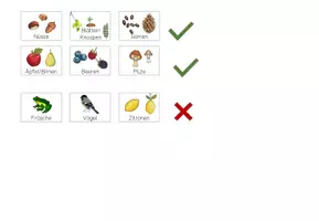 Vorschau - Fördermaterial/Inklusion - Klettmappe - Was frisst das Eichhörnchen? Waldtiere - Seite 2