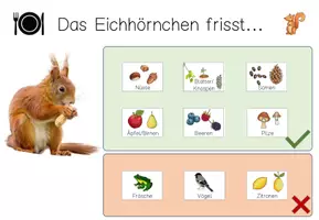 Vorschau - Fördermaterial/Inklusion - Klettmappe - Was frisst das Eichhörnchen? Waldtiere - Seite 3