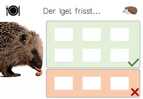 Vorschau - Fördermaterial/Inklusion - Klettmappe - Was frisst der Igel? Tiere im Wald - Seite 1