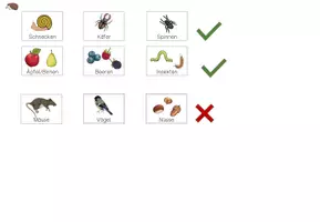 Vorschau - Fördermaterial/Inklusion - Klettmappe - Was frisst der Igel? Tiere im Wald - Seite 2