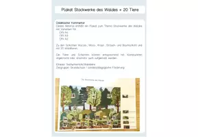 Vorschau - Fördermaterial/Inklusion - Plakat Stockwerke des Waldes + 20 Waldtiere Wald DIN A2, DIN A3, DINA4 - Seite 1
