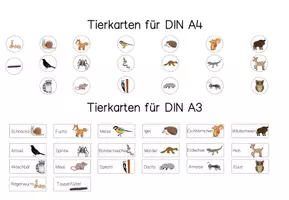 Vorschau - Fördermaterial/Inklusion - Plakat Stockwerke des Waldes + 20 Waldtiere Wald DIN A2, DIN A3, DINA4 - Seite 2