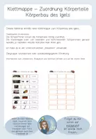 Vorschau - Fördermaterial/Inklusion - Klettmappe Körperteile des Igels - Igel - Wald - Seite 1