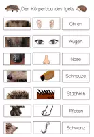 Vorschau - Fördermaterial/Inklusion - Klettmappe Körperteile des Igels - Igel - Wald - Seite 2