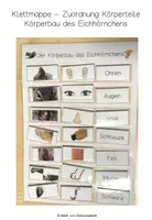 Vorschau - Fördermaterial/Inklusion - Klettmappe Körperteile Eichhörnchen - Tiere des Waldes - Deckblatt