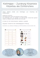 Vorschau - Fördermaterial/Inklusion - Klettmappe Körperteile Eichhörnchen - Tiere des Waldes - Seite 1