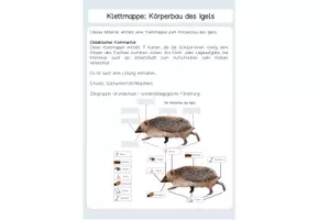 Vorschau - Arbeitsblätter - körperbau klettmappe igel - Arbeitsblatt - Deckblatt