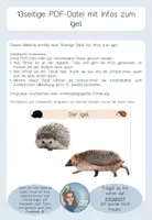 Vorschau - Fördermaterial/Inklusion - 13seitige PDF - Informationen Igel - Waldtiere - Deckblatt